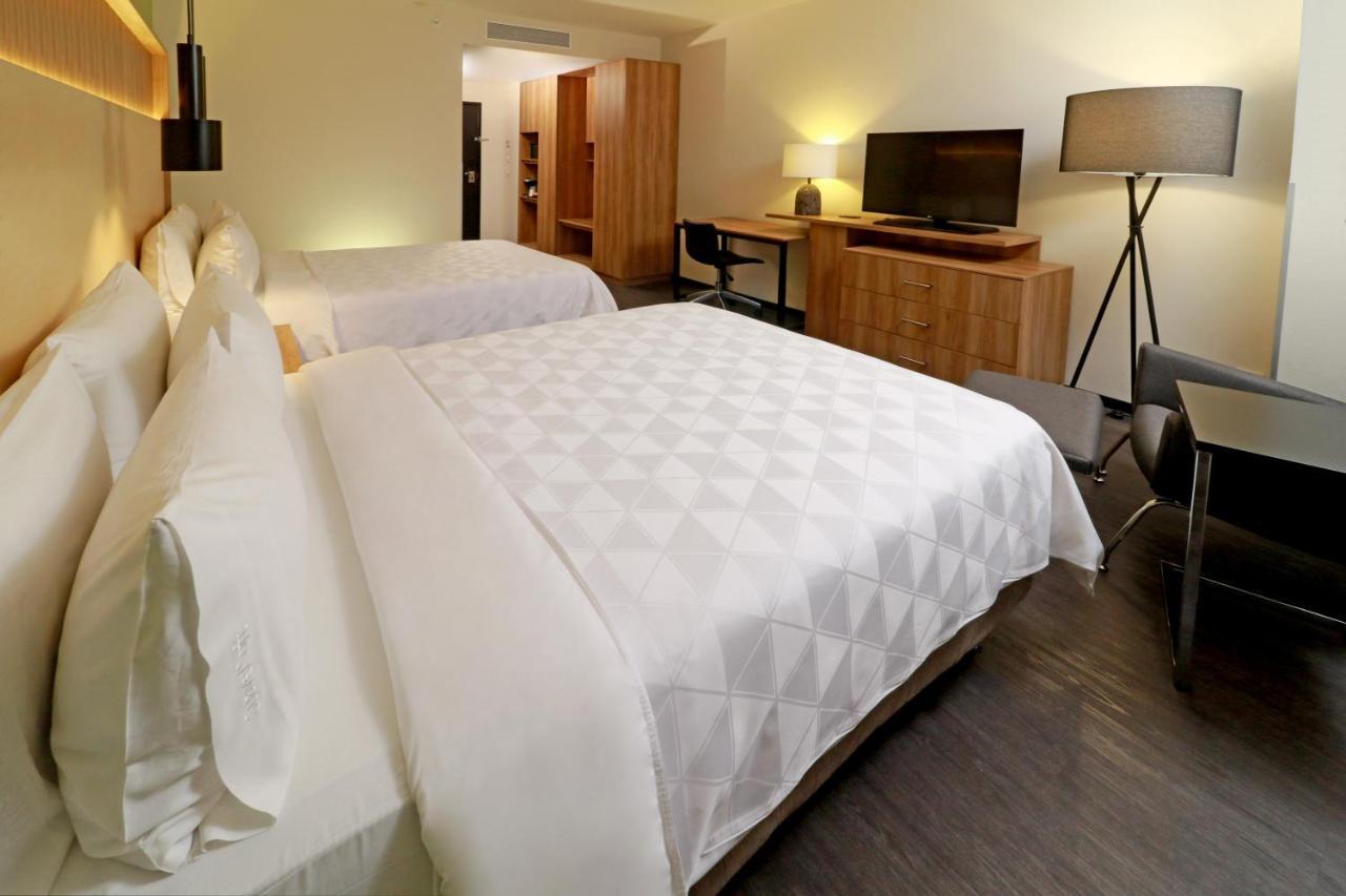 Holiday Inn San Luis Potosi-Quijote By Ihg Εξωτερικό φωτογραφία
