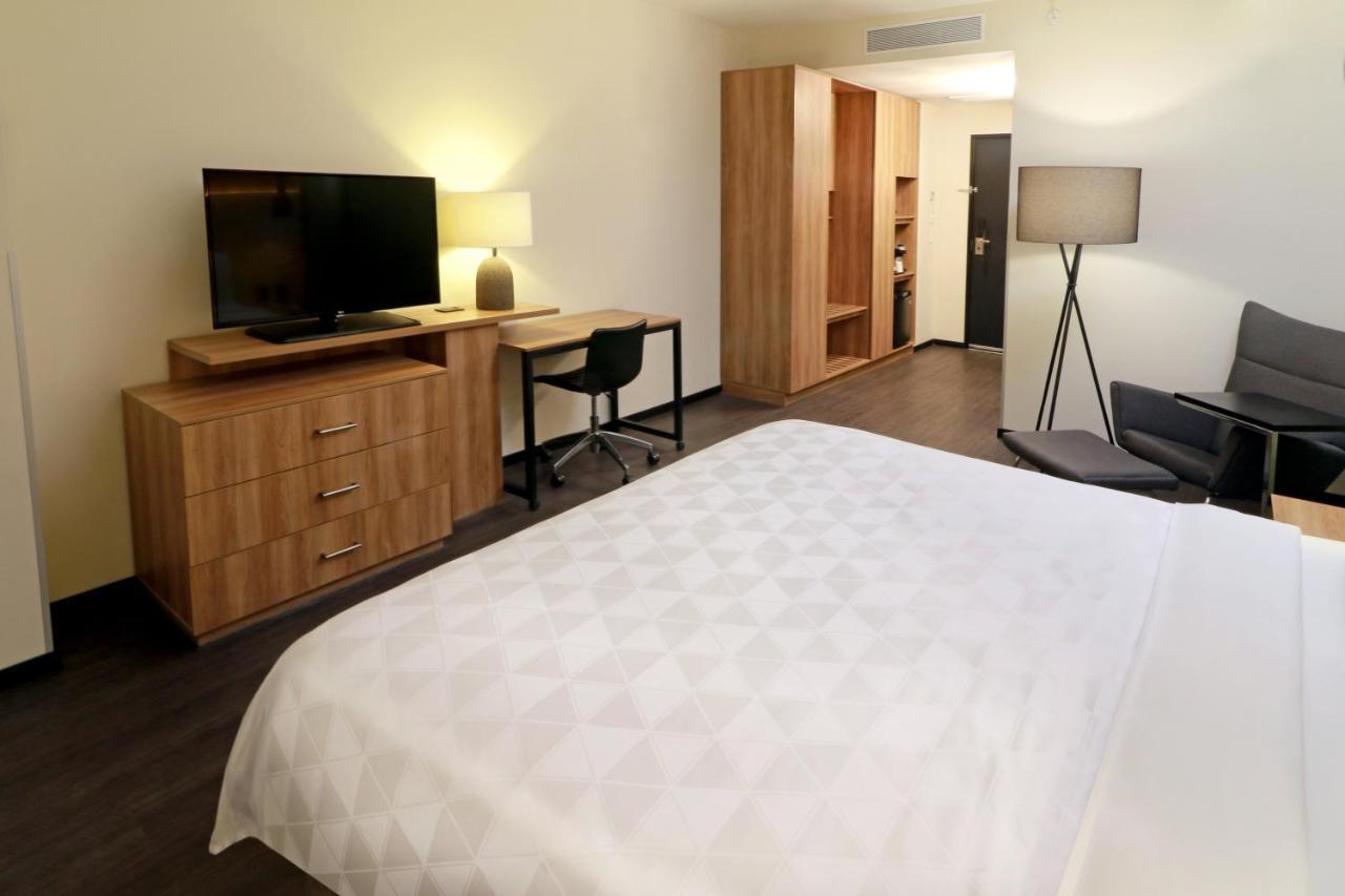 Holiday Inn San Luis Potosi-Quijote By Ihg Εξωτερικό φωτογραφία