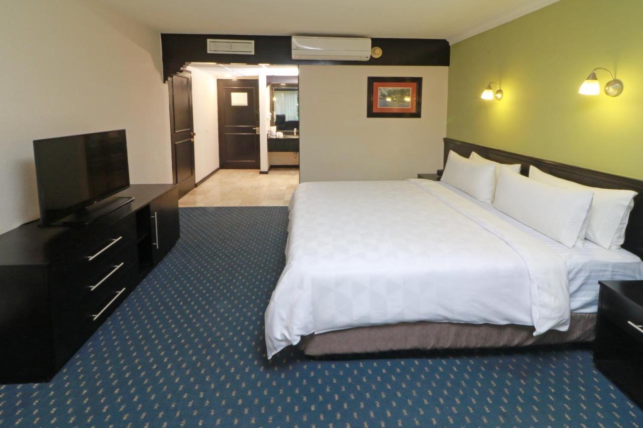 Holiday Inn San Luis Potosi-Quijote By Ihg Εξωτερικό φωτογραφία
