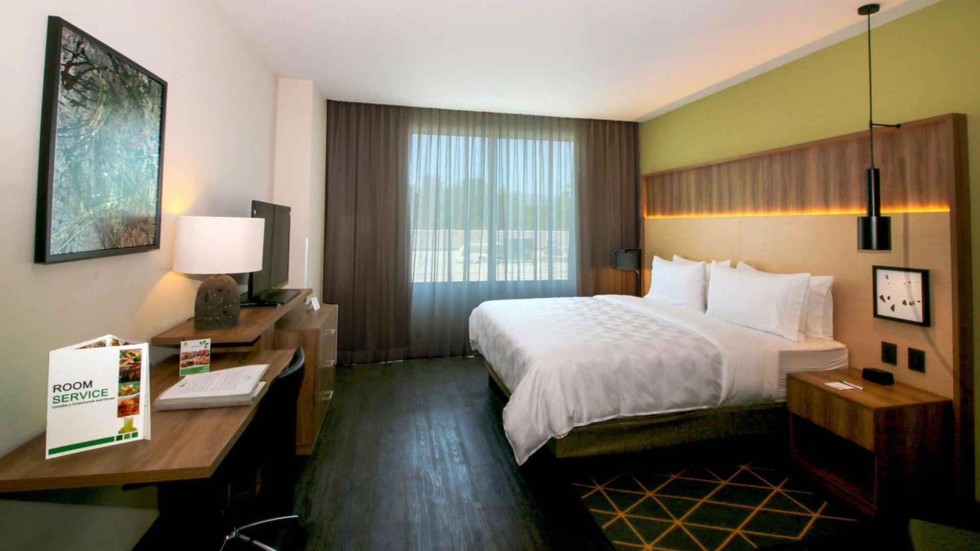 Holiday Inn San Luis Potosi-Quijote By Ihg Εξωτερικό φωτογραφία