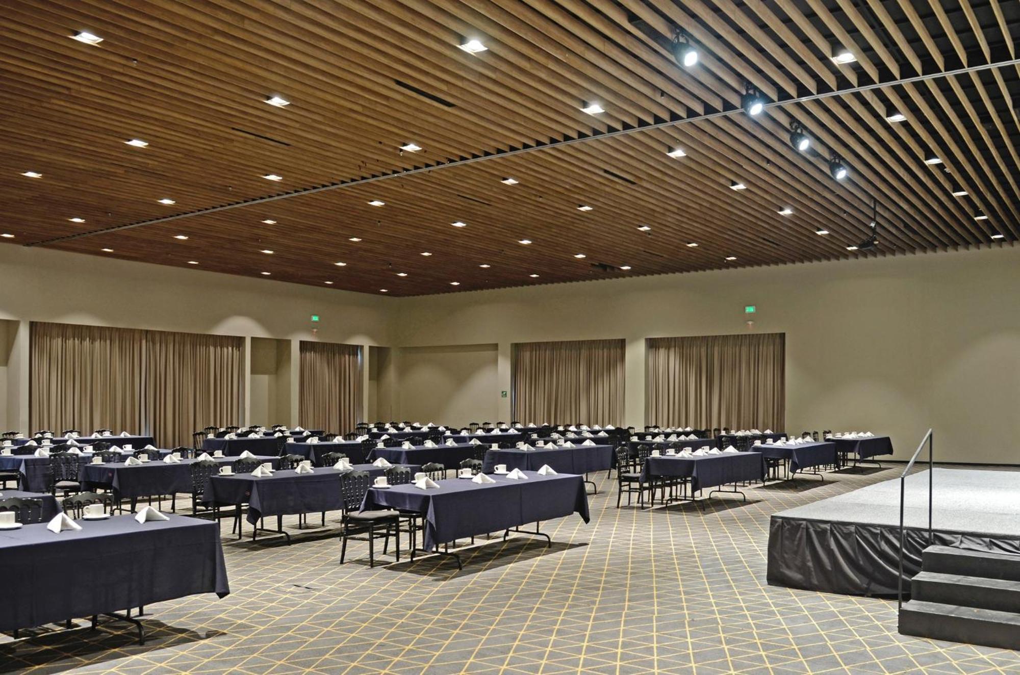 Holiday Inn San Luis Potosi-Quijote By Ihg Εξωτερικό φωτογραφία